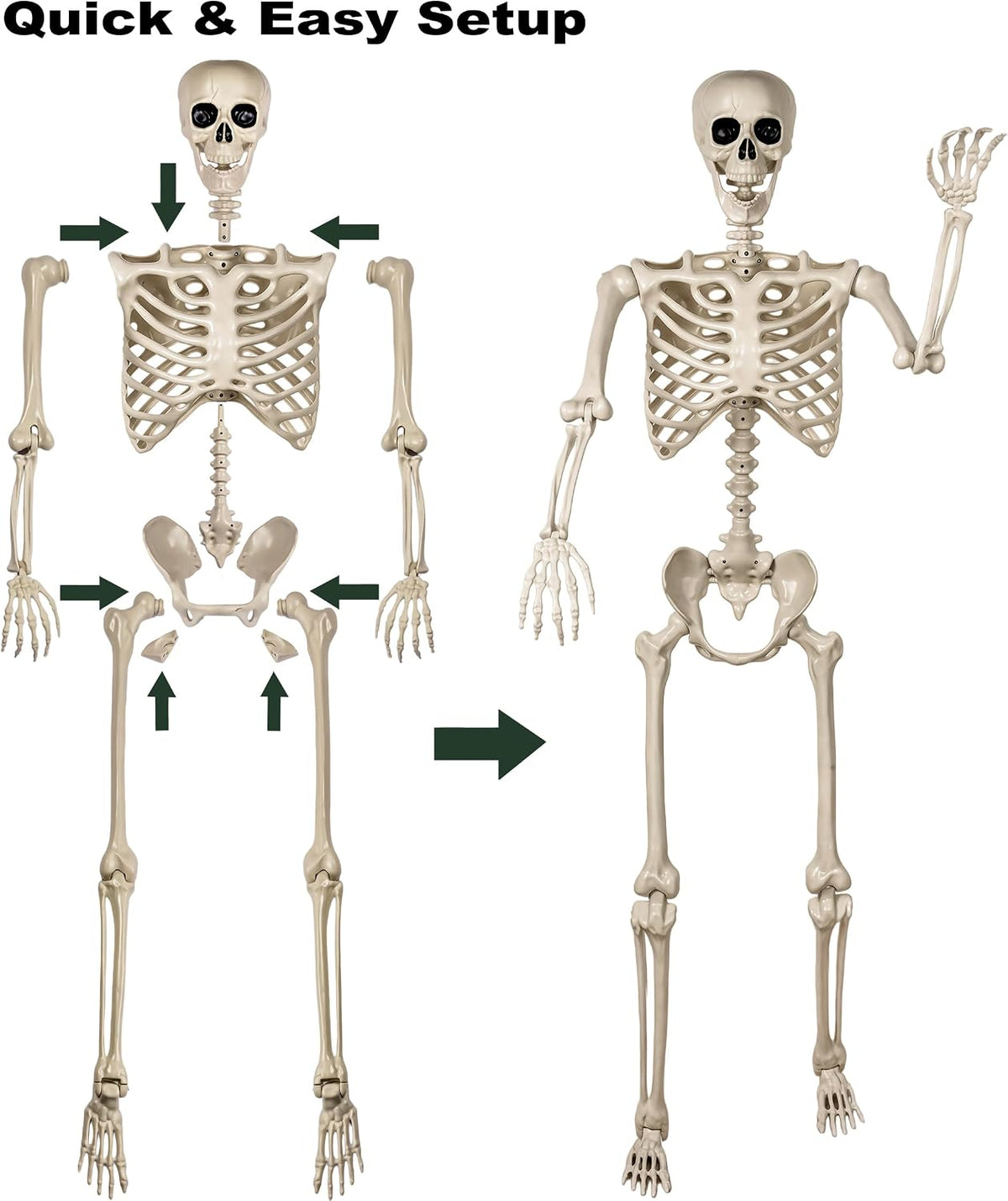 Aimeiar 5.4ft/165cm Life Size Skeleton for Halloween Decorations Outdoor/Indo...