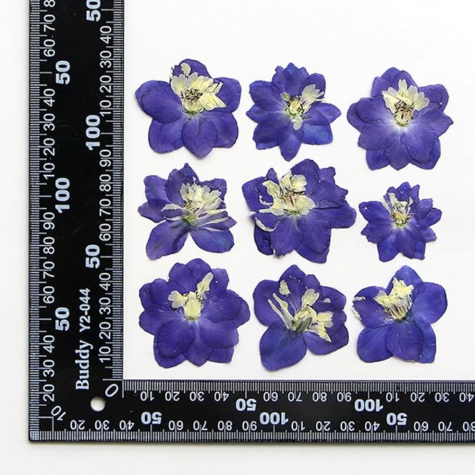 48 Pcs Dried Pressed Flowers for Resin DIY Art Crafts Natural Dry Sakura Larkspur Floral Epoxy Jewelry Real Flower Decor Cakes Phone Cases Candles Handmade Soap