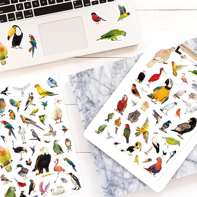 Bird Stickers 850 Count Tropical Bird Parrot Flamingo Peacock Hummingbirds Stickers Animal Party Favors Gifts Sticky Decor for Scrapbook Calendar Planner Gift Wrap Decor