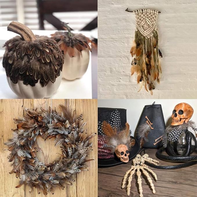 Ballinger 240pcs 12 Styled Natural Feathers Assorted Mixed Feathers for Jewelry and Dream Catcher Crafts Decoration