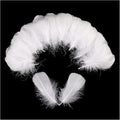 THARAHT 360pcs White Feathers 3-5 inch Craft Feathers Assorted Rainbow Colors Feathers for Kids for DIY Handmade Wedding Home Party Decorations Natural Feather