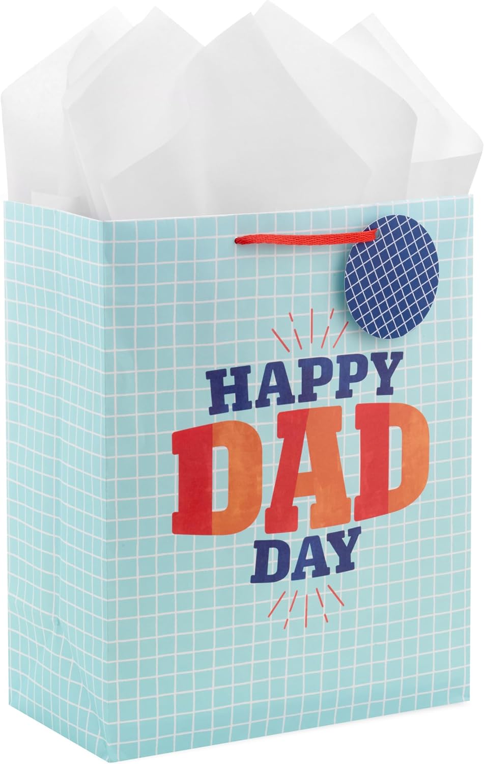 Hallmark 13" Large Father's Day Gift Bag with Tissue Paper and Gift Tag (Happy Dad Day, Light Blue)