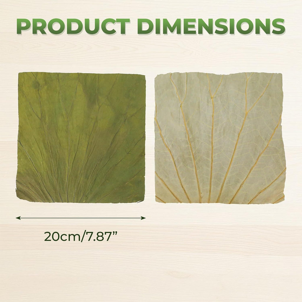 100 PCS Dried Lotus Leaves Food Wrap for Cooking/Decoration, Natural Whole Sheets Square Cutting, Organic Wrapper for Sticky Rice Sushi Dim Sum Lo Mai Gai, Party Making and Serving Plates (8x8 inch)