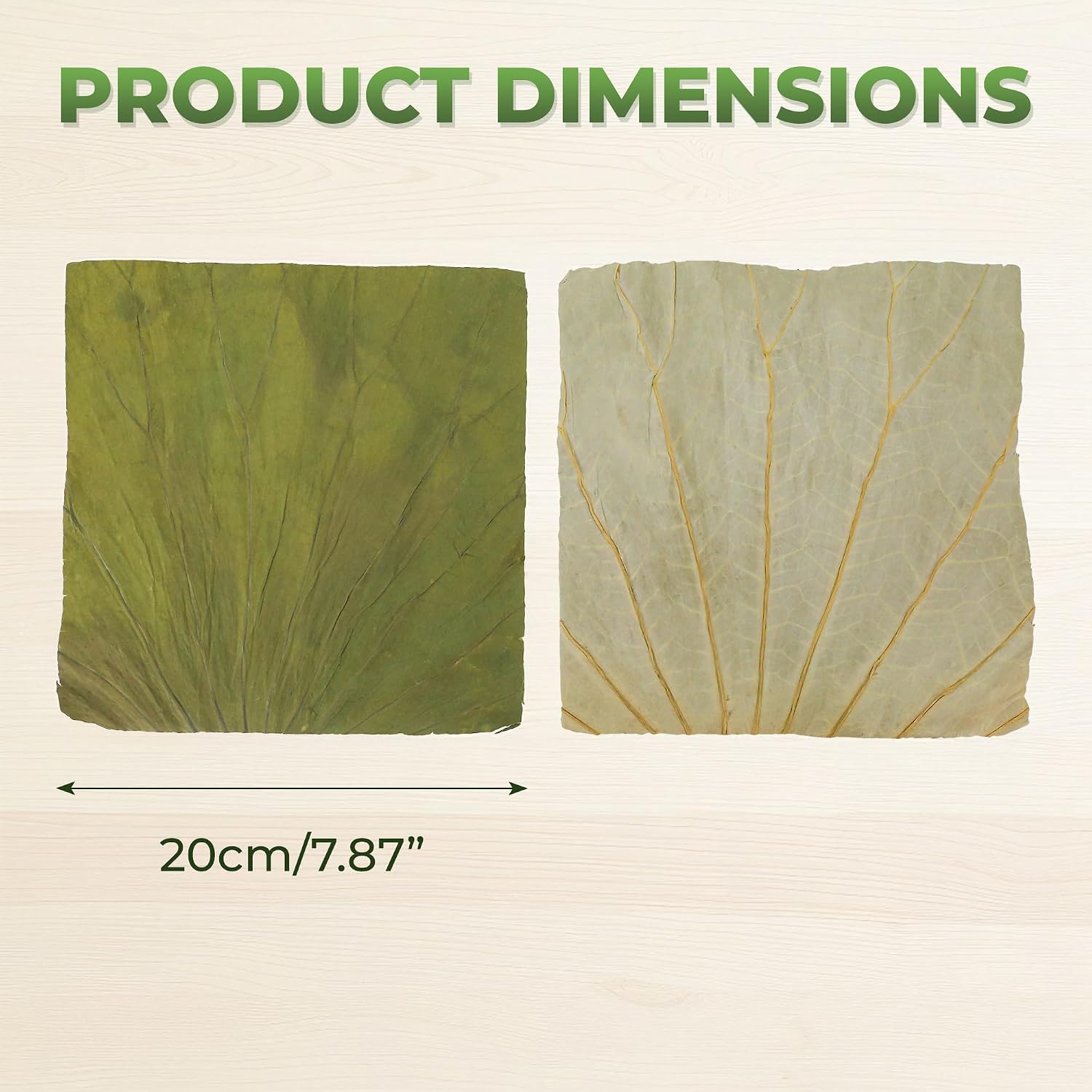 100 PCS Dried Lotus Leaves Food Wrap for Cooking/Decoration, Natural Whole Sheets Square Cutting, Organic Wrapper for Sticky Rice Sushi Dim Sum Lo Mai Gai, Party Making and Serving Plates (8x8 inch)