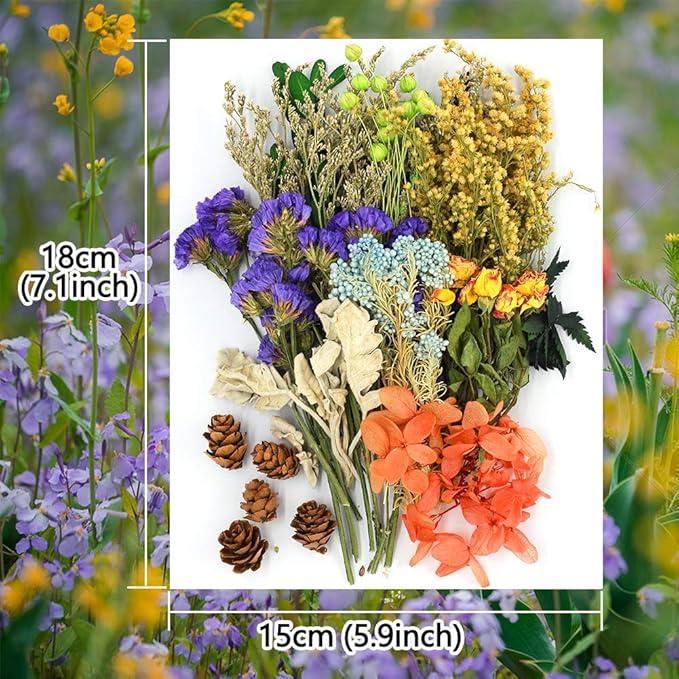 Vignee Real Dried Pressed Leaf Flowers-Multiple Colorful Pressed Flowers Daisies for Craft Resin Jewelry Making Art Craft DIY（Violet+Green）
