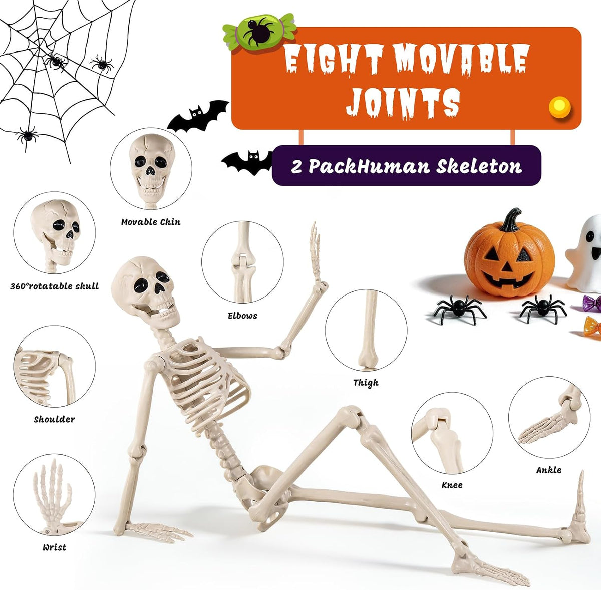DWTS 2 Pack 36" Skeletons for Halloween - 3 Ft Life Size Human Skeleton ...