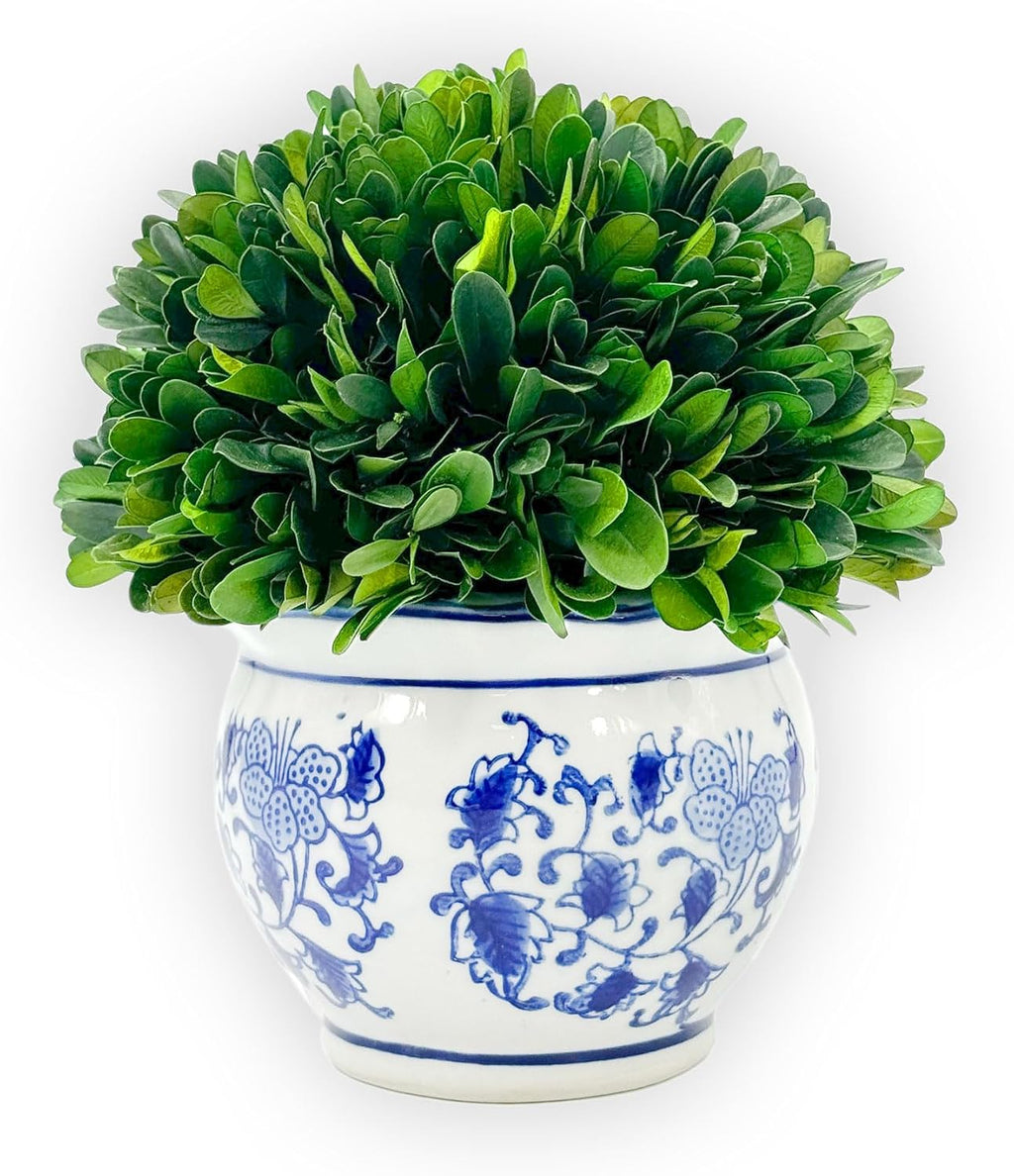 galt international 7" naturally preserved real boxwood ball, main product view