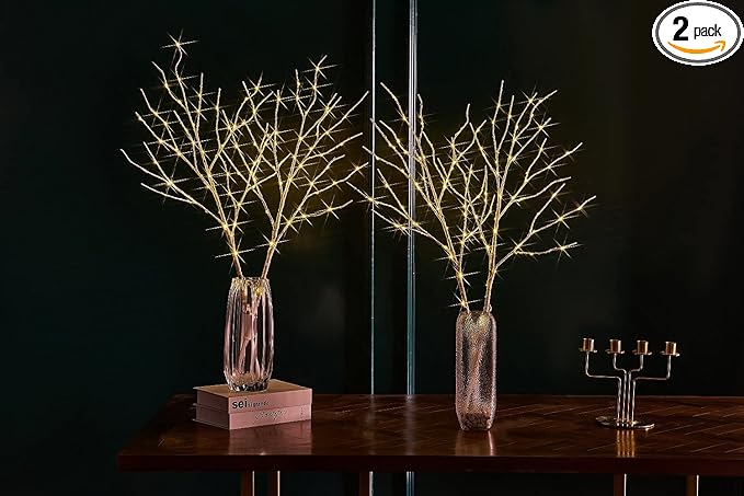 Fudios Lighted Branches with Timer Battery Operated 30IN Tall Birch Twig Lights for Vase 100 LED Outdoor and Indoor Holiday Winter Decor 2Set
