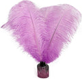 Happy Feather 16-18 inch Light Purple Ostrich Feathers Craft for Wedding Party Centerpieces Home Decoration DIY Craft Pack of 10