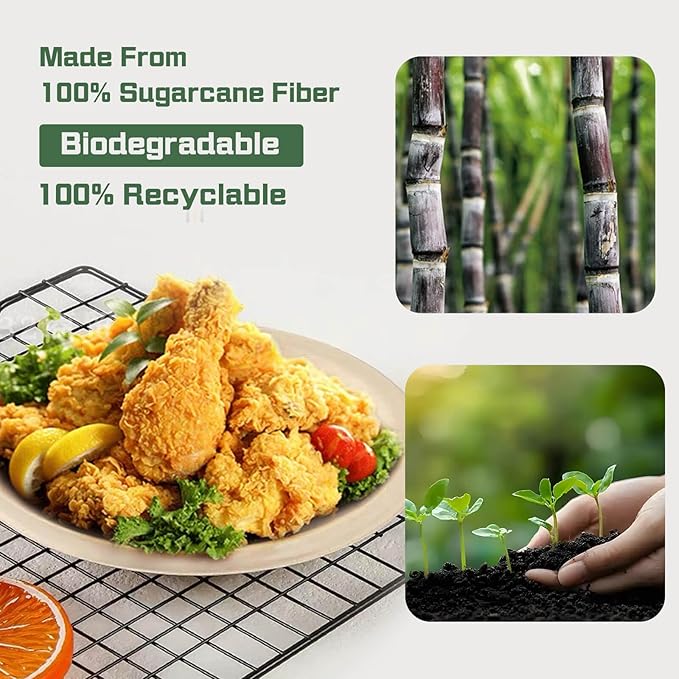 Disposable Paper Plates, 9 inch Heavy Duty Paper Plate, Soak and Cut Proof, Natural Biodegradable Bagasse Plates for Microwave, Dinner, Party, Picnic,125 Pack