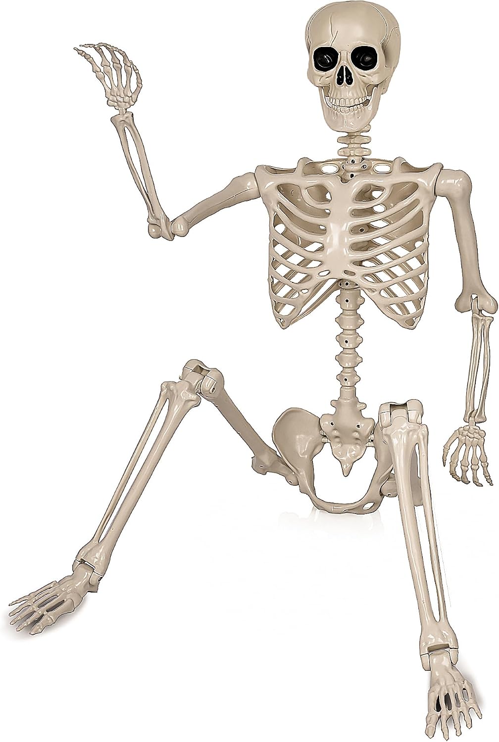 Aimeiar 5.4ft/165cm Life Size Skeleton for Halloween Decorations Outdoor/Indo...