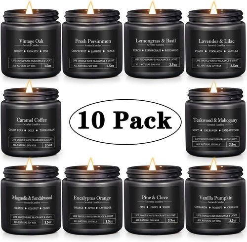 10 Pack Scented Candles for Men, Masculine Candle Gift Set with Woody & Fresh Scents, Soy Wax Aromatherapy Candles for Home, Gifts for Him, Boyfriend, Father's Day