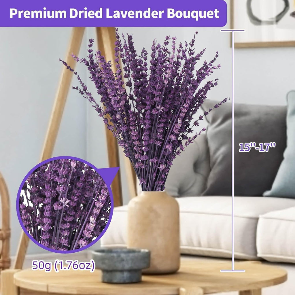 Dried Lavender Flowers, Preserved Lavender Bouquet 15-17 Inches, Purple Lavender Bundle for Shower, Home Decor, Vase Filler, Wedding Decorations, Aromatherapy, DIY Crafts, 50g(1.76oz)