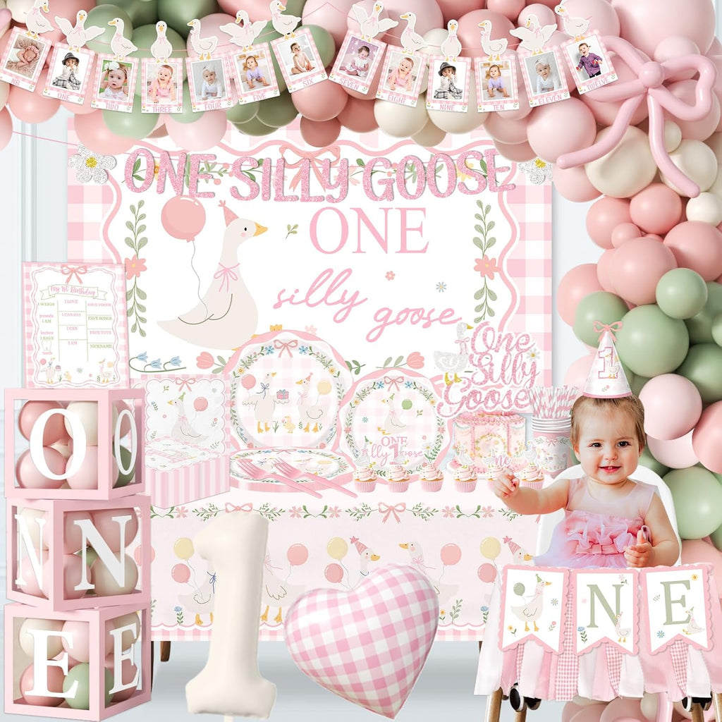 one silly goose birthday decor girl, silly goose showing dimensions