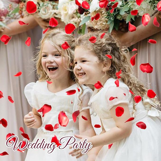 3.5 Oz Dried Rose Petals Wedding Biodegradable Petals, Natural Preservation Real Flower Petals, Suitable for Flower Petals for Flower Girl, Romantic Night, Table Decoration (Red, 100g)