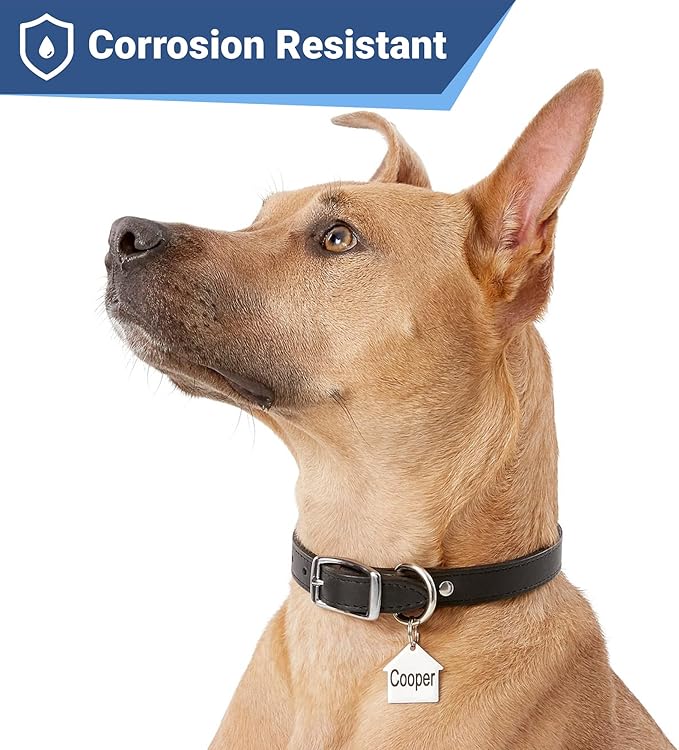 GoTags Stainless Steel Pet ID Tags, Personalized Dog Tags and Cat Tags, up to 8 Lines of Custom Text, Engraved on Both Sides, in Bone, Round, Heart, Bowtie and More (House, Regular (Pack of 1))