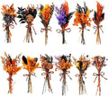 10/12/24/36 Pack Mini Dried Flowers for Vase Wedding Various Mini Bouquet Dried Small Wildflowers Natural Flowers Bulk for Crafts DIY Decor (12, Halloween Color1)