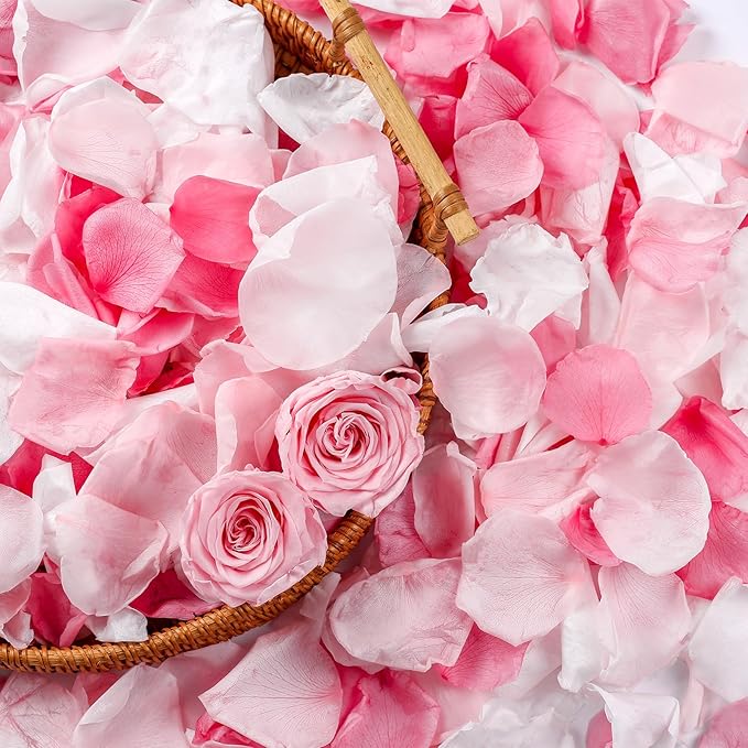 300 PCS Real Pink White Rose Flower Petals Confetti for Wedding Flower Girl to Throw, 2.82oz Freeze Dried Rose Petal for Proposal Centerpieces Romantic Night Decor