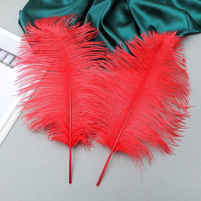 Ballinger Red Ostrich Feathers Bulk - 24Pcs 12-14inch Large Ostrich Feathers for Vase,Party Centerpieces,Wedding and Home Decor