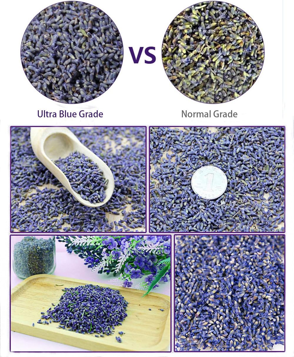 TooGet Fragrant Lavender Buds Dried Flowers Wholesale, Ultra Blue Grade - 225g