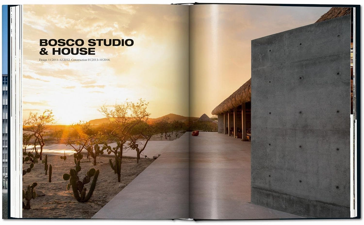 ando. complete works 1975–today. 2019 edition (multilingual edition) on a desk or shelf