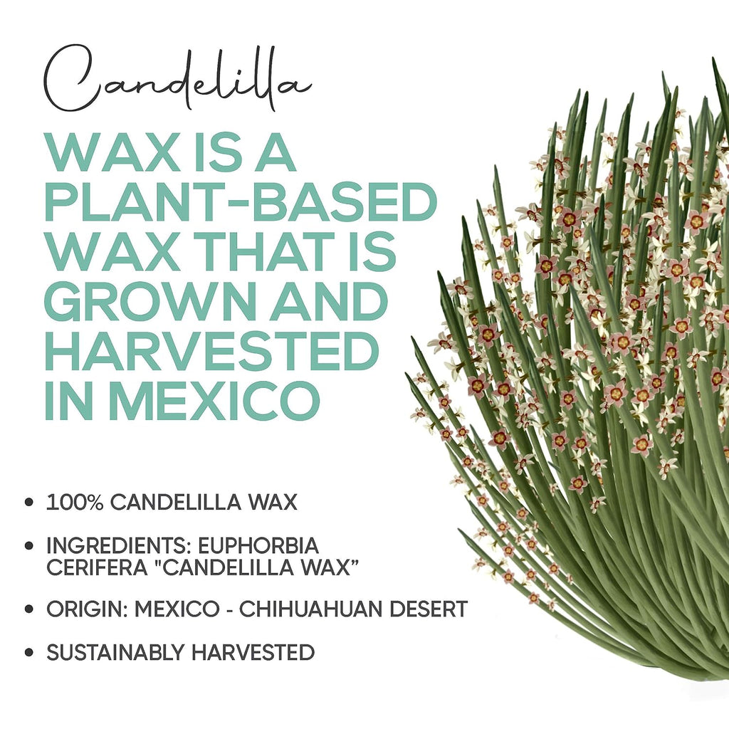 Candelilla Wax Pellets 8 oz. 100% Pure Natual Food Grade Vegan Wax For DYI Lip Balm, Soap and Candle Making, Creams and Lotions. Great For Skin, Face, and Hair applications. Beeswax Alternative