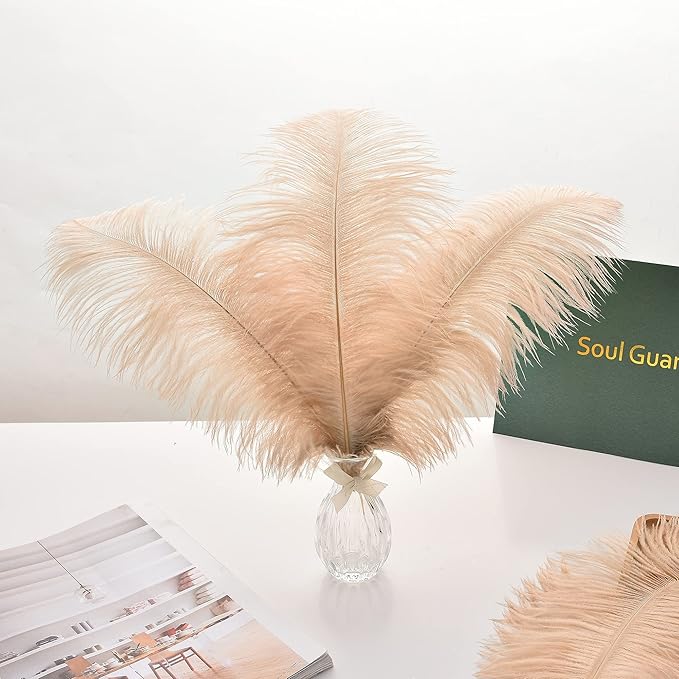 Ballinger Champagne Ostrich Feathers Bulk - 24pcs 10-12inch Boho Feathers for vase and Home Decor Wedding Party Centerpieces