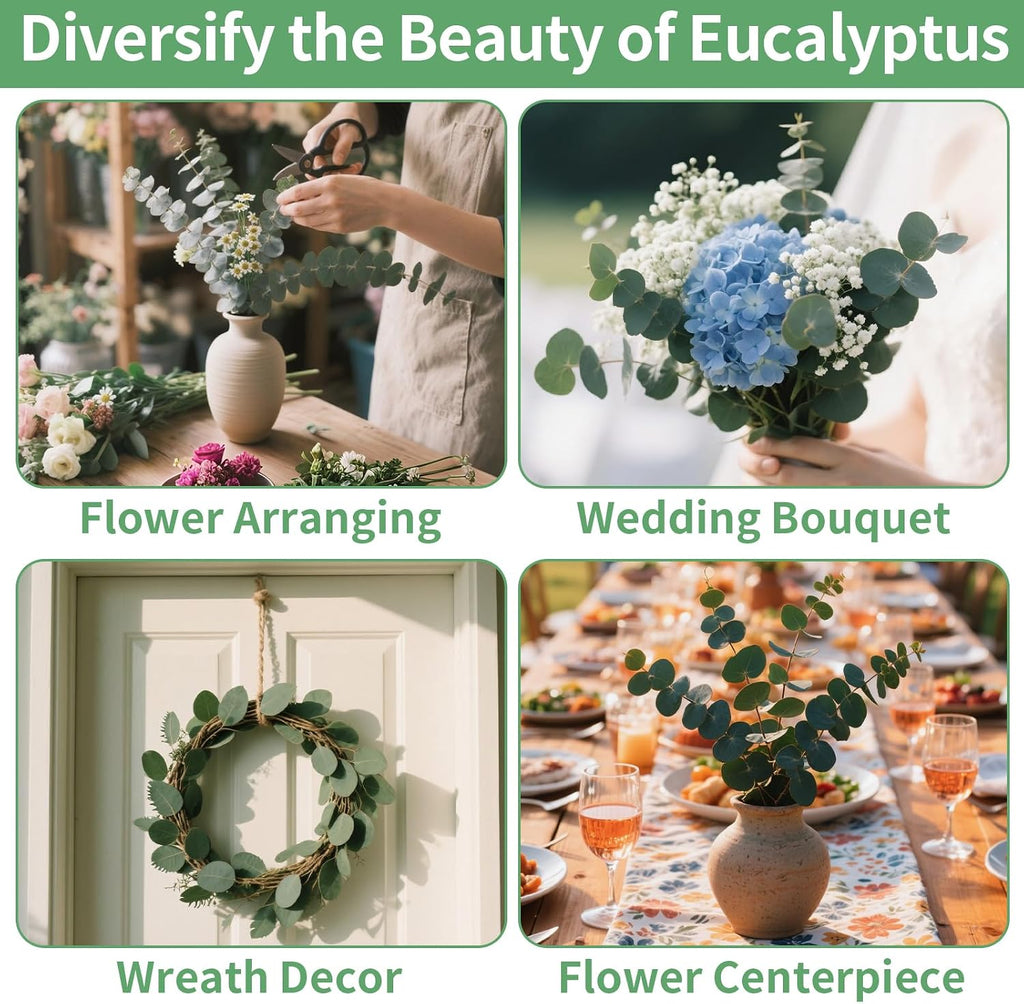 12PCS Dried Eucalyptus Bundle 17'' Real Eucalyptus Stems 100% Natural Fresh Leaves Hanging Plants Greenery Stems for Shower Home Decor Flower Arrangement Wedding