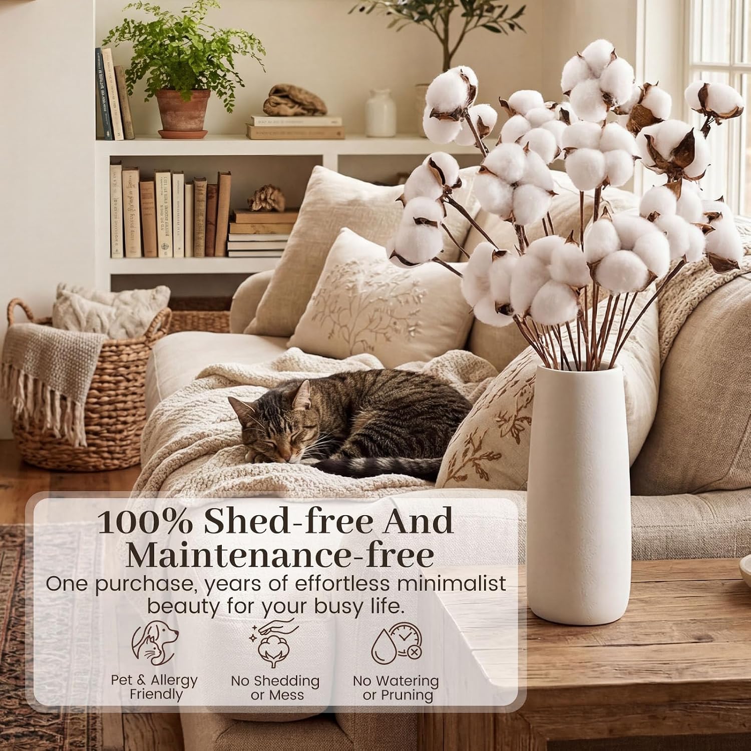 DomeStar Cotton Stems 8 Packs with 15 Bolls, Natural Dried Flowers Cotton Sprigs for Vase Fillers and Floral Arrangements - Fall Decorations and DIY Crafts