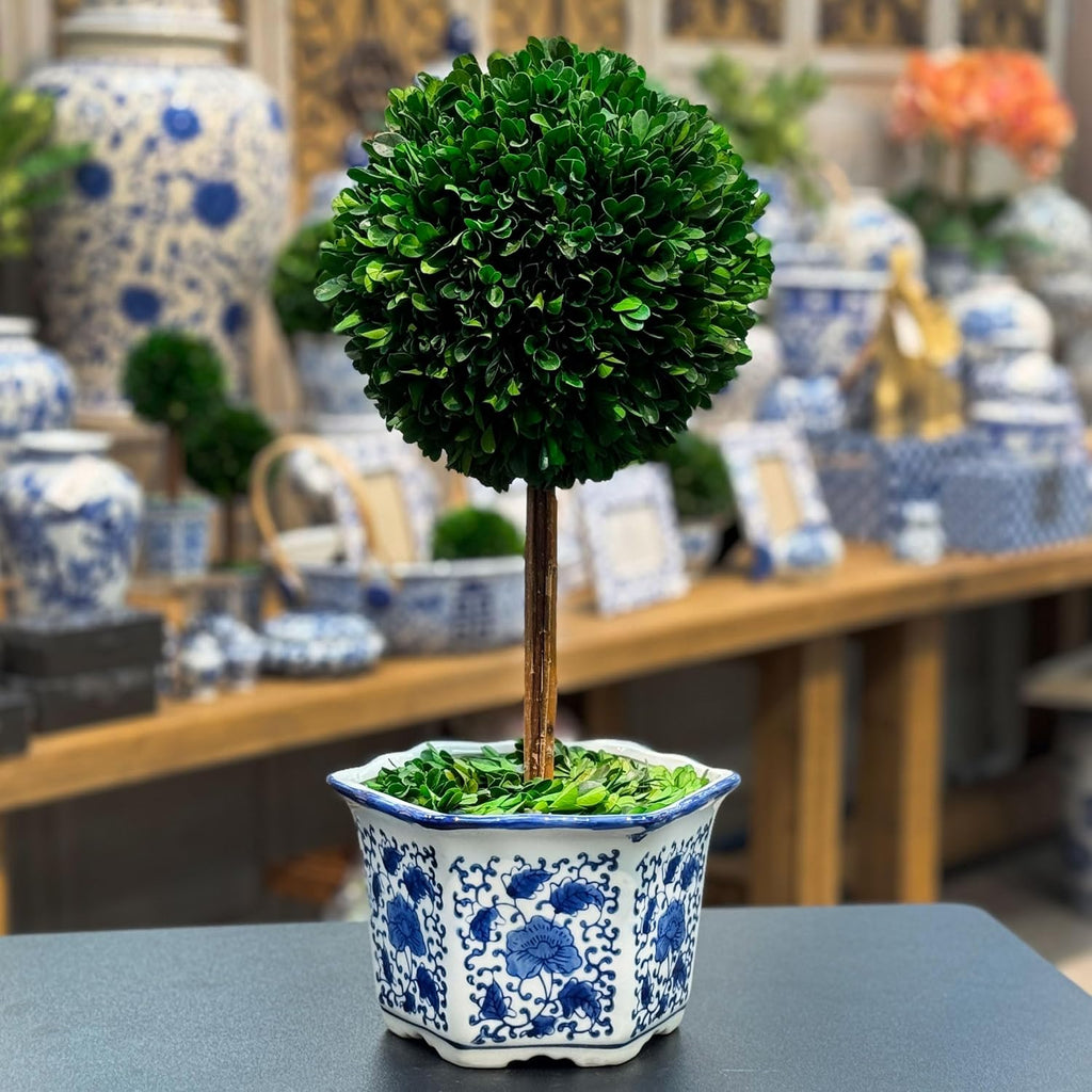 galt international naturally preserved boxwood ball topiary tree, main product view