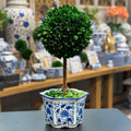 galt international naturally preserved boxwood ball topiary tree, main product view