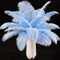 THARAHT Light Purple Ostrich Feathers 12pcs Natural Bulk 10-12Inch 25cm-30cm for Crafts Wedding Party Centerpieces Easter Gatsbi and Home Decoration Feathers