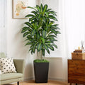 6ft artificial dracaena tree - high-density foliage fake, main product view