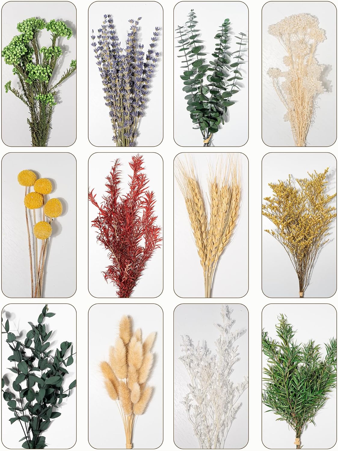 12 Kind Dried Flowers Set - Including Lavender, Eucalyptus, Wheat, Bunny Tails, Handmade for DIY Crafts, Vase Decor, Wedding/Home/Birthday/Seasonal Decor