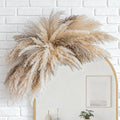 Fluffy Boho Wall Decor - DIY Pampas Grass Kits,Need to Assemble,Decorative Pampas Cloud,Mirror Decorative,for Entryway Bedroom Living Room Bathroom House Warming Gifts New Home Essential