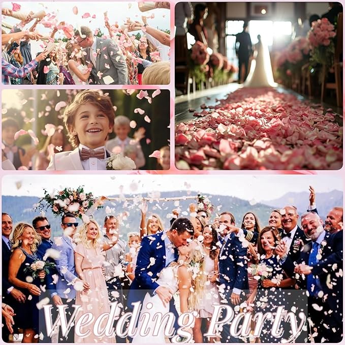 180 PCS Real Pink Dried Rose Petals Confetti for Wedding, 1.75oz Freeze Rose Petals for Romantic Pink Wedding Valentine's Day Proposal Decor, Dinner Centerpieces Party