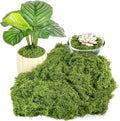 Fake Green Moss for Plants Indoor, 5.3OZ Artificial Moss for Potted Plants Decor, DIY Decorative Moss for Crafts Fairy Garden Floral Wedding Model Making Glass Containers Home (150g)