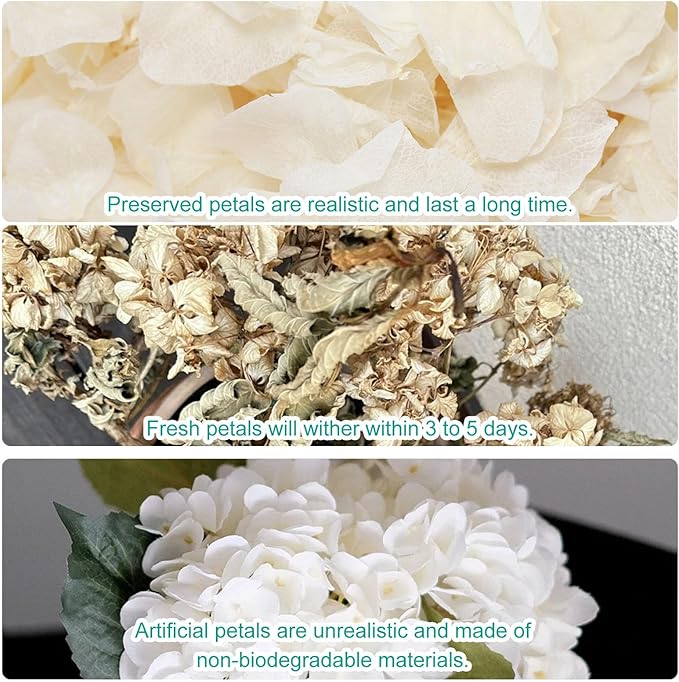 Dried Real Hydrangea Petals, Natural Preserved Dry Flower Petal for Wedding Party Dinner Table Decor, Romantic Night for Her, Engagement, Bridal Shower, Valentines Day, Confetti (1.1oz, Ivory White)