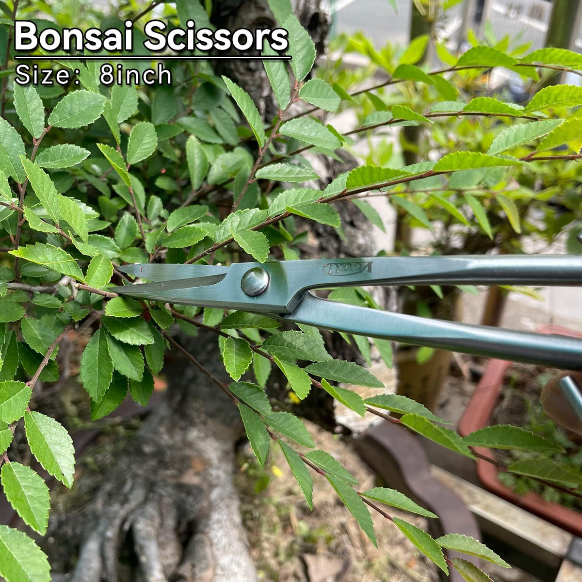 vouiu 6-Piece Bonsai Tool Set,Concave Cutter,Knob Cutter,Jin Pliers,Wire Cutt...
