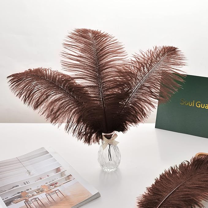 Ballinger Brown Big Ostrich Feathers - 24pcs 8-10inch Craft Feathers for Party Centerpieces, Flower Arrangement and Home Decor