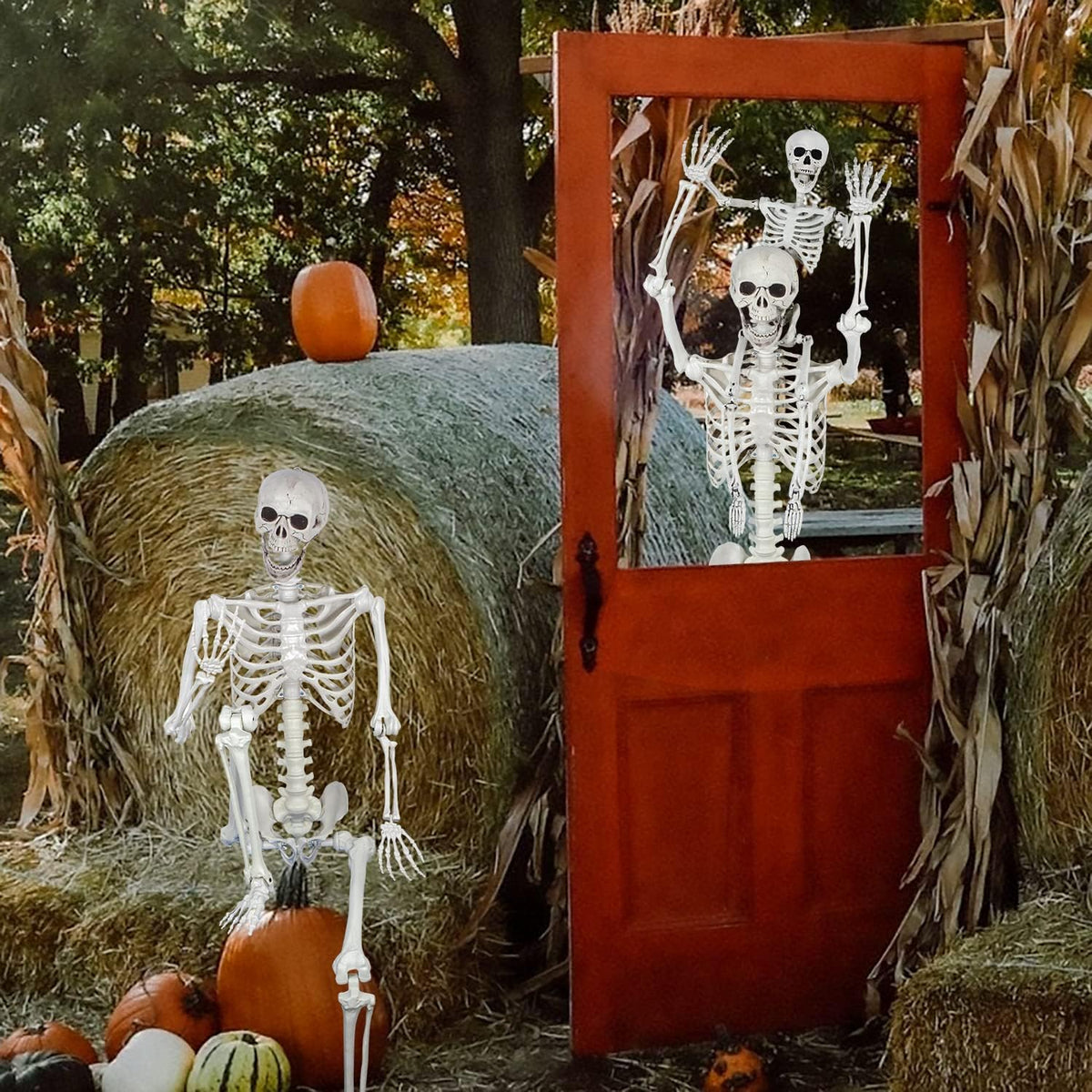 5.4ft Posable Halloween Skeleton - Full Body Life Size Skeleton Bones with Mo...