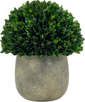 galt international preserved natural boxwood ball in grey, main product view