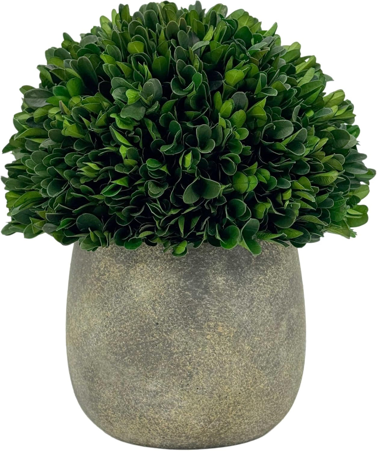 galt international preserved natural boxwood ball in grey, main product view