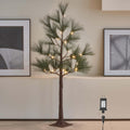 litbloom lighted christmas tree with timer 4ft 36, main product view