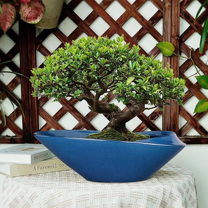 Bonsai Pot - 18 Inch Ceramic Planter for Indoor Outdoor Plants Bonsai Tree Pot Modern Large Succulent Planter Decorative Plant Pot with Drainage Hole Blue