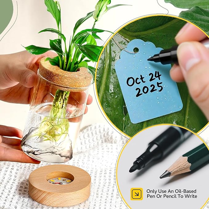 2Pcs Plant Propagation Station with Mountain-Shaped Bottom - Hydroponic Glass Vases, Wooden Base with Lighting, Terrarium Jars for Indoor Growing, Desktop Vivarium, Ideal Gifts for Plant Lovers