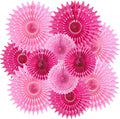 SUNBEAUTY Hanging Honeycomb Paper Fans Hot Pink Party Decorations Fuchsia Pink Birthday Paper Decoration for Wedding Graduation Events Accessories - 12Pcs