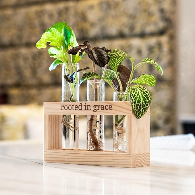 Rooted in Grace: Plant Propagation Stations: Plant Cutting Holder w/ 3 Glass Propagation Vases, Unique & Encouraging Christian Gifts for Women, Faith-Inspired Home Decor