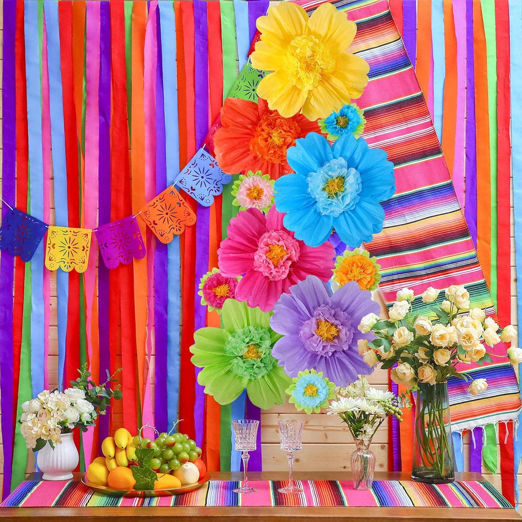 TaoBary Large Colorful Tissue Paper Flowers Giant Fiesta Paper Pom Poms Classroom Wall Decor Mexican Birthday Party Decorations Wedding Backdrop(20" and 10",Rainbow Color,12 Pcs)