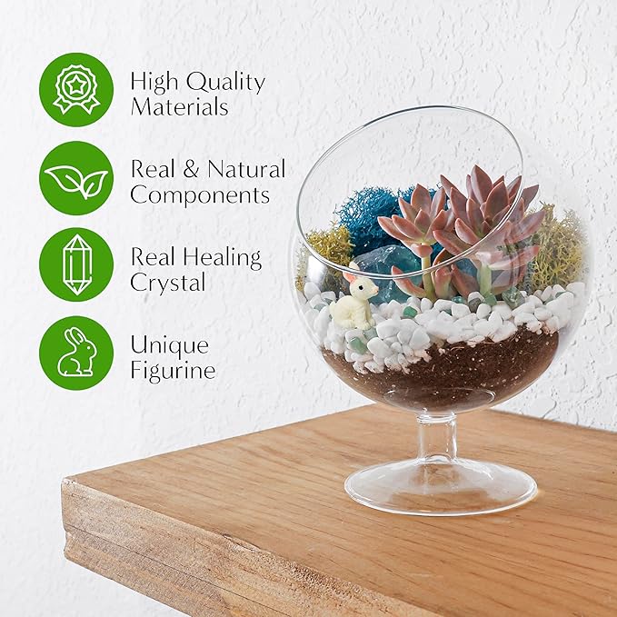 DIY Glass Plant Terrarium Kit for Adults, Metal Stand, Reindeer Moss, Crystals, Rocks, Tools & Figurine – Complete Starter Set